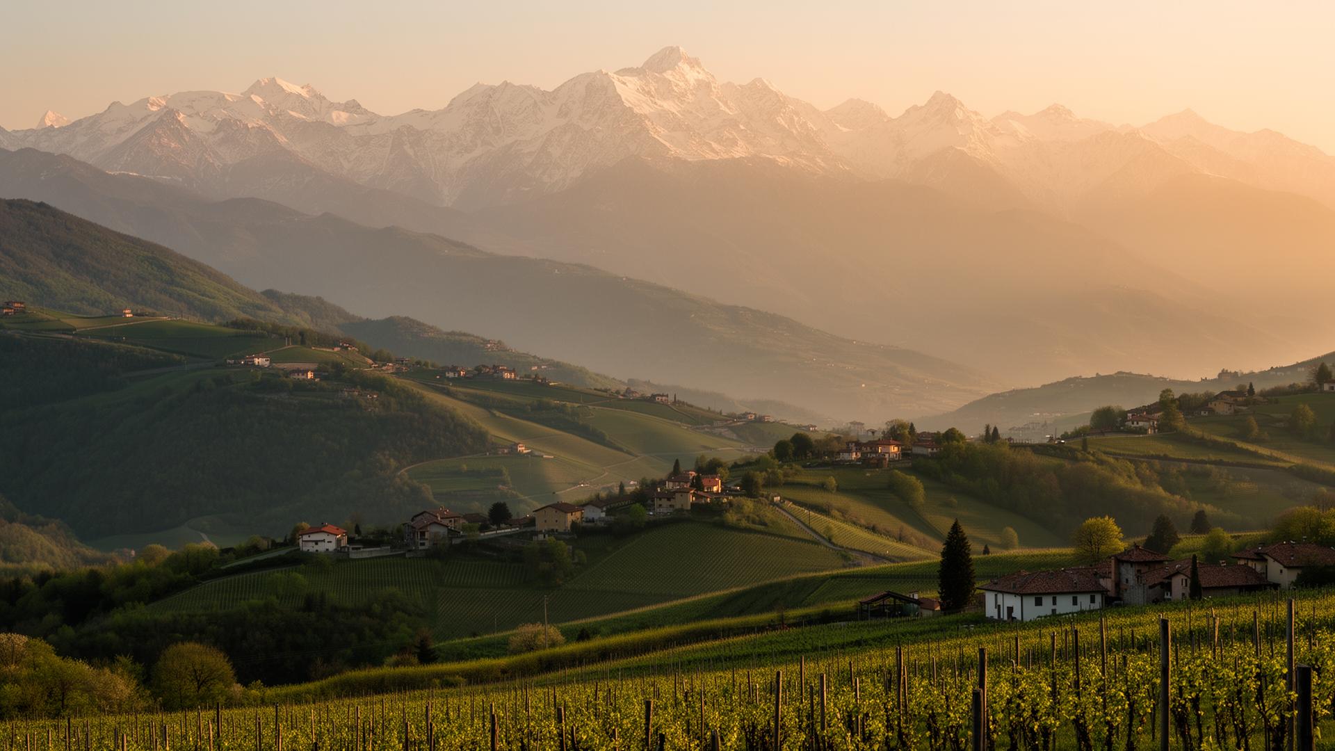 Piemonte countryside near Biella at golden hour